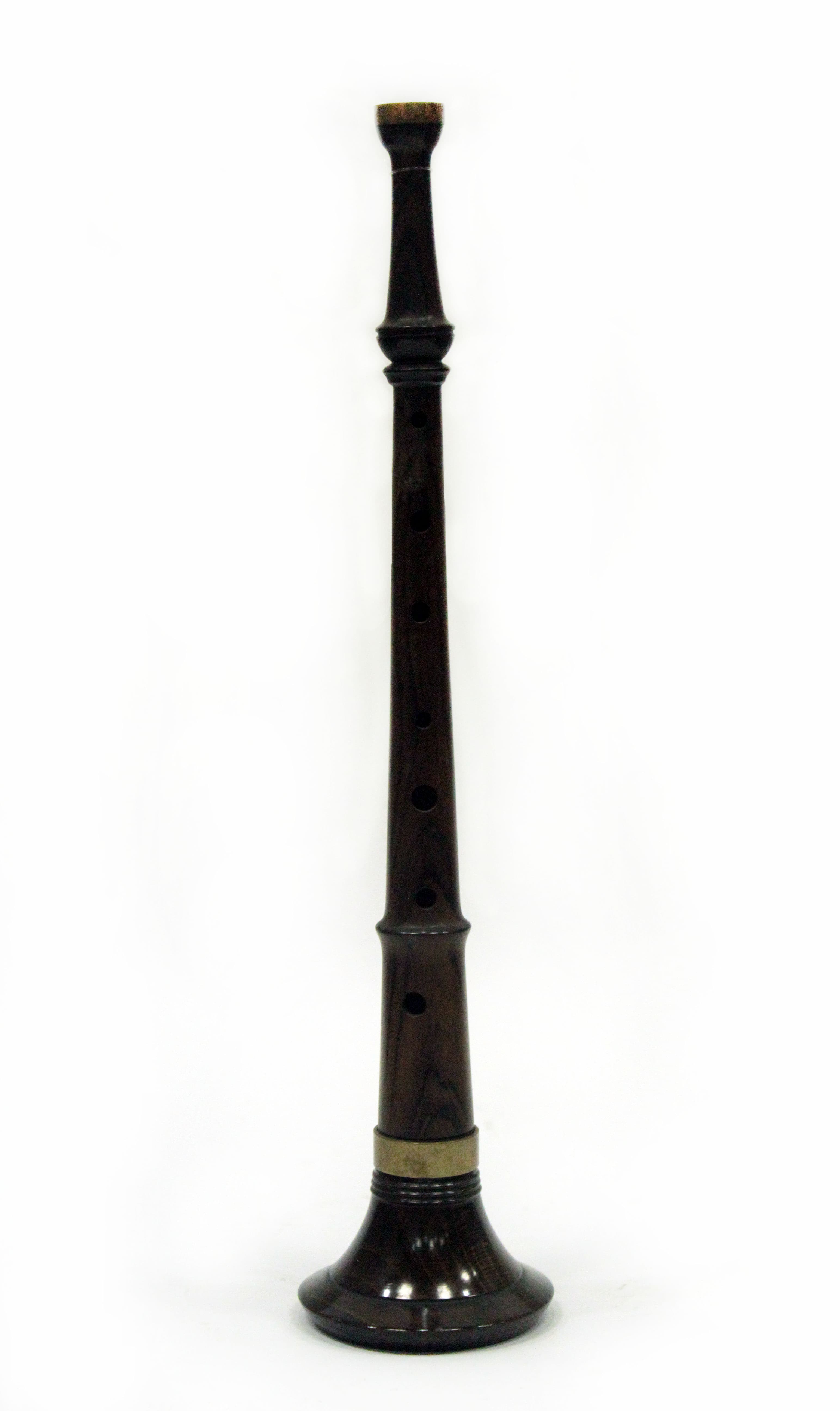 Бомбарда (итал. Bombarda, латын. Bombus